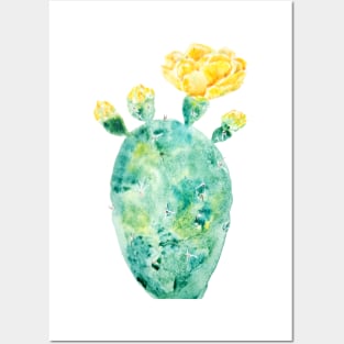 Yellow cactus flowers  watercolor Posters and Art